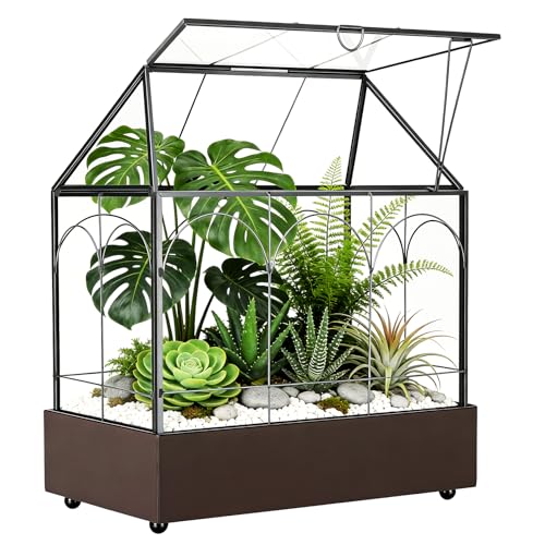 Mini Gewächshaus, 24x14,5x28cm Terrarium mit Aufklappbarem...