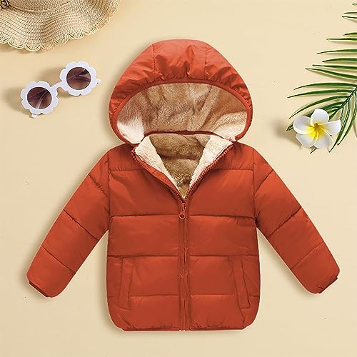2024 Winter Fleece Jacket Coat Autumn/Winter Preschool Girls/Boys Long Sleeve Hooded Removable Fleece Filled Jacket3