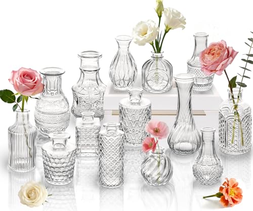 Clear Glass Bud Vase Set of 14 Pcs Small Bud Vases in Bulk Glass Crystal Flower Vases Table Centerpieces for Party Event Wedding Decor Baby Shower Decorations (Clear 14 Pcs)