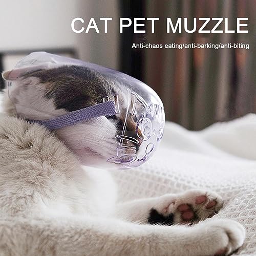 gato | Tampa proteção para boca para gatos | Focinheiras cuidados para cães e gatos, ferramentas aju