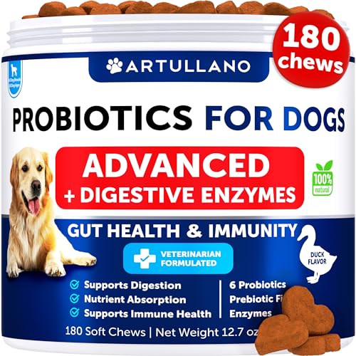 Probiotics-for-Dogs-Support-Gut-Health-Itchy-Skin-Allergies-Immunity-Yeast-Balance-Dog-Probiotics-and-Digestive-Enzymes-with-Prebiotics-Reduce-Diarrhea-Gas-180-Probiotic-Chews-for-Dogs