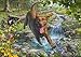 Produktbild Schmidt Spiele 58559 Mark Frederickson, Hundeliebe, Frühlingsspaziergang mit Labrador Retriever, 1000 Teile Puzzle