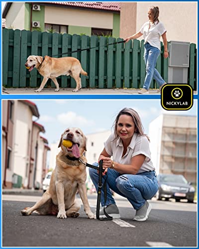 Nickylab - Martingale Dog Collars For Large Dogs - Leash (Bonus) - Large, Extra Large Dogs (Large, Black) #TOP3