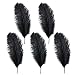 10-12 inches Ostrich Feather Real Natural Feather for Home Decor Party Wedding Decorations, Pack of 5(Black)