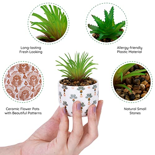 Karlliu 2 Pack Artificial Plants Small Cute Succulents in Ceramic Planters Fake Greenery Potted for Living Room Office Desk Decor Bathroom Bedroom Shelves Decor