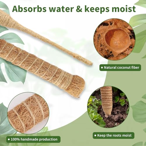 CNMTCCO 2 Stück 60 cm Moosstab Monstera für Pflanzen,Rankhilfe aus Kokosfaser,Rankhilfe für Kletterpflanzen mit Zubehör… – Ansicht 3