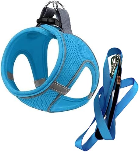 MITA Juego de arnés y correa para perro, arnés para cachorro, arnés para gato, cómodo arnés para perros grandes y pequeños, transpirable y de malla