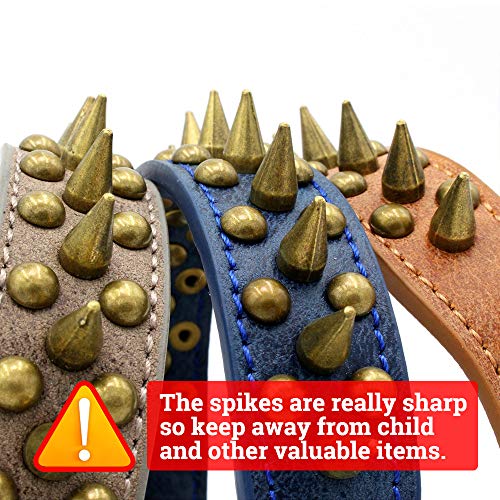 Spiked Studded Dog Collar,Protect The Dog’s Neck From Bites. - Fit Smallmedium & Large Dogs (Sharp Black,Xs) #TOP5
