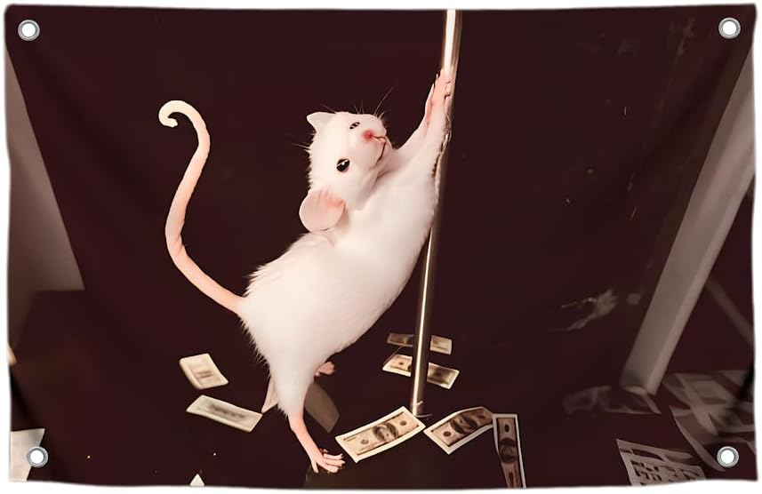 3x5 Feet Funny Flag Picture of Mouse Meme - Four Brass Grommets - Single Sided Cool Banner for Room - Funny Polyester Bright Tapestry for Bedroom Guys - Funny Wall Flags for College Dorm