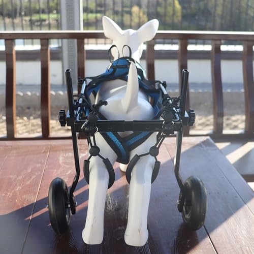 Chariot pour chien en balade : fauteuil roulant réglable bleu - 6