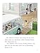 Oxford Reading Tree: Level 9: Stories: Green Island