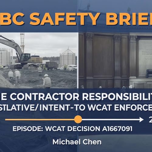 『When Coordination Fails: Lessons for BC Prime Contractors』のカバーアート