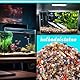 500g 9-12mm Trommelsteine Bring Eine Tasche Mit Aquarium Succulents Mini Landscapes Mini Aquariums Vase Fillers Edelsteine Kinder Steine,Edelsteine für Kinder Verwendet für Spiele und Dekorationen