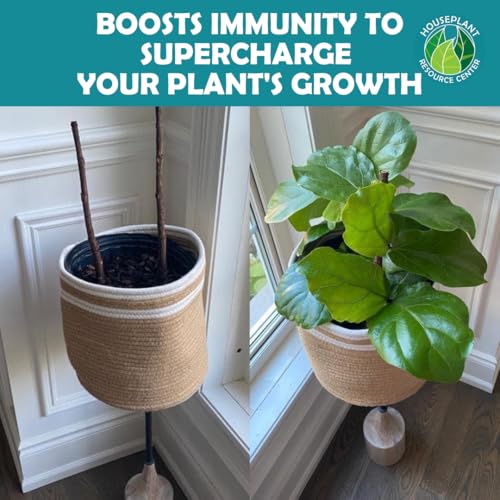 Fiddle Leaf Fig Rescue Drops | 3-in-1 Liquid Fertilizer, Root Supplement & Immunity Booster | Easy-to-Use Houseplant Supplement for Resilience, Growth & Vitality | Made in USA | 3.3 oz (100ml)