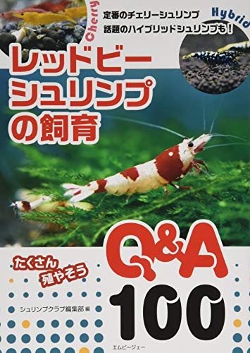 レッドビーシュリンプの飼育 Q A100 アクアライフの本 シュリンプクラブ編集部 本 通販 Amazon