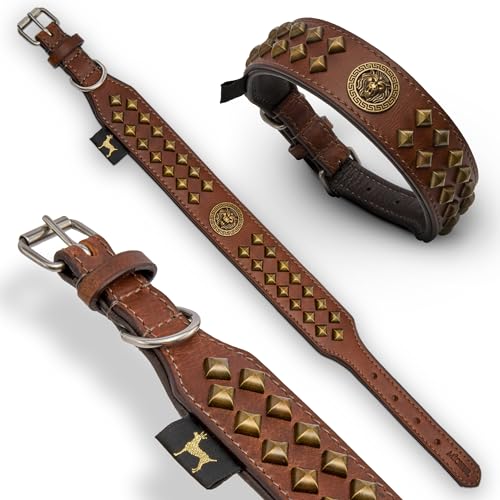MICHUR Diego Braun 1. Wahl !! Hundehalsband Leder Lederhalsband Hund Halsband Löwenkopf Nieten Messing Optik Braun Gold