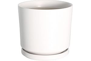 9 Inch Plant Pots Indoor – Ceramic Planters with Drainage Hole