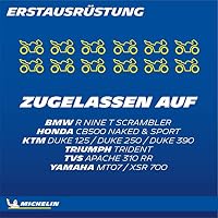 MICHELIN Road 5 Motorradreifen 120/70ZR17 (58W) Vorderrad – Ansicht 8