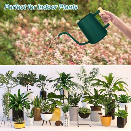 Image of Watering Can Indoor Plants, 35 oz /1000 ml Metal Stainless Steel Watering Can Pot with Long Spout for Indoor House Plants Bonsai Outdoor Garden Flower Decorative (Alpinegreen)