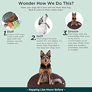 Molly-Mutt-Dog-Bed-Cover-Landslide-Print-Measures-42x5-100-Cotton-Durable-Breathable-Sustainable-Machine-Washable-Dog-Bed-Cover - Cucciolini Doodles   Molly-Mutt-Dog-Bed-Cover-Landslide-Print-Measures-42x5-100-Cotton-Durable-Breathable-Sustainable-Machine-Washable-Dog-Bed-Cover