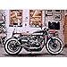 Sporacingrts Stainless Steel Motorcycle Exhaust Muffler Silencer Pipe Inlet 1.46 1.54 1.65 1.77Inch Motorcycle Exhaust with Moveable DB Killer for Dirt Bike Street Bike Scooter(Black)