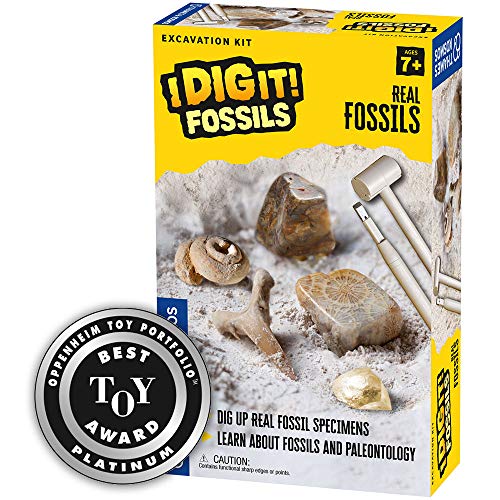 Thames & Kosmos I Dig It! Fossils