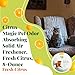 Citrus Magic Pet Odor Eliminator Solid Air Freshener, Fresh Citrus, 8-Ounce, Pack of 1