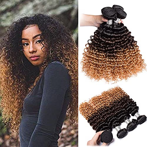 Brazilian Hair Ombre Bundles Deep Wave Human Hair 3 Bundles T1B-4-27 Ombre Virgin Hair 3 Bundles 100G/Pcs Unprocessed Remy Human Hair Double Weft Weave Three Tone Light Brown Mix Blonde（16 18 20 Inch）