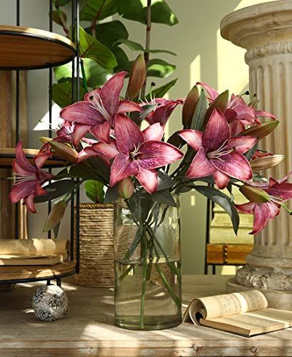 Mejores review On-line Liverpool flores artificiales Top cinco. 27 Mejores review On-line Liverpool flores artificiales Top cinco. 25