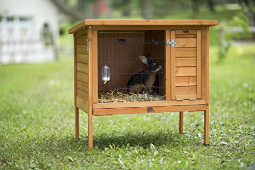 Image of Prevue Hendryx Prevue Pet Products Small 460 Rabbit Hutch, Stained Wood