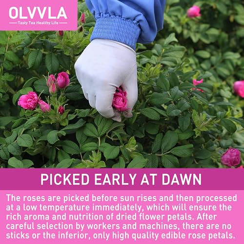 Image of Olvvla - Dried Rose Petals - 0.91oz /26g - Premium Food Grade Dried Roses Edible Flowers - Perfect for Edible Rose Petal Tea, Decorations, Baking, Making Rose Water