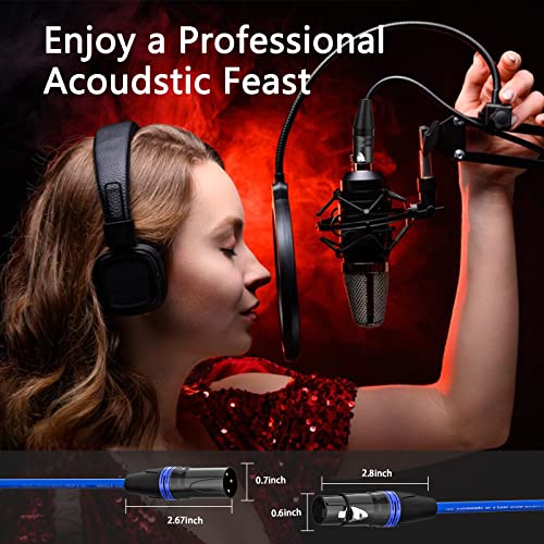 Boyouys Xlr Cables 3Ft 10 Pack Xlr Microphone Cable Male To Female Cable 3 Pin Premium Balanced Xlr Male To Female Patch Cords For Mic Mixer,Podcast, Studio #TOP2