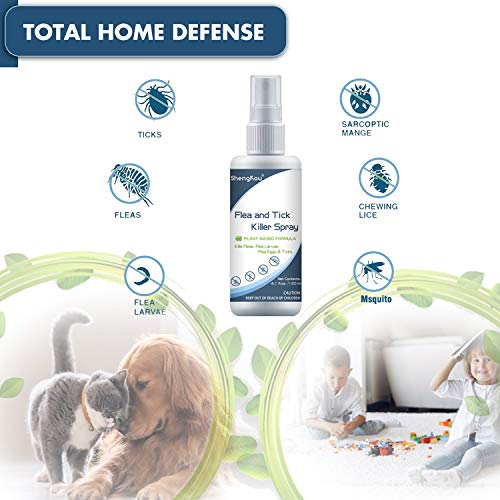 Flea and Tick Spray for Pets and Home - Safe for Humans, Kids and Pets - Natural and Effective Treatment for Ticks, Fleas and Insects - Indoor and Outdoor Use - Charity Donation Included