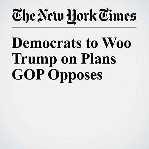 Democrats to Woo Trump on Plans GOP Opposes cover art