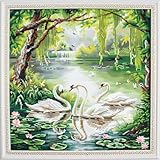 ADD MORE FUN TO LIFE : DIY counted cross stitch can give you a different life style. learn to reduce stress, emotional adjustment, enhance self-confidence and perseverance cultivate patience. It will be a great family project to create and develop yo...