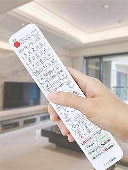 レコーダー Panasonic TH-LF1L + N2QBYA000063 パナソニック 純正 N2QBYA000063 テレビ TH-43LF1L/TH-55LW1/TH