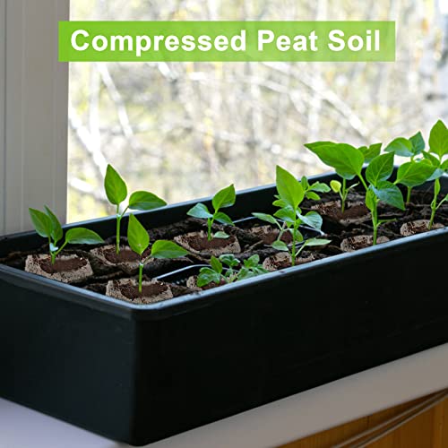 Mokylor 300 Pcs 30Mm Peat Pellets Starter Pods, Plant Pallet Seedling Soil Block, Compressed Starting Plugs Pellet Fiber Soil Planting Easy For Planting Herb Flower Vegetables #TOP3