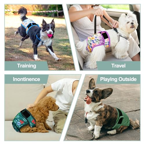 Image of Washable Female Dog Diapers (5 Pack) - Doggie Reusable Small Medium Large Dog Diapers for Doggy Puppy Female in Period - Highly Absorbent Dog Heat Panties,S Plus,Green