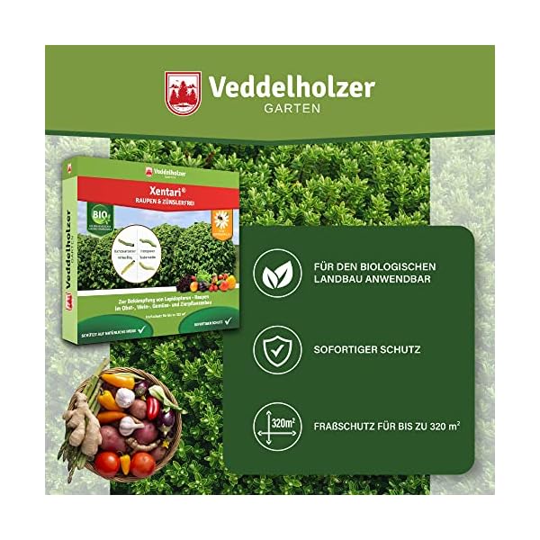 Veddelholzer Xentari® 8 x 2g Raupen & Zünslerfrei gegen Buchsbaumzünsler, Raupen & Schadraupen. Xentari Raupenfrei Buchsbaumzünsler Spritzmittel für Bio Landbau geeignet Nicht Bienengefährlich. – Bild 6