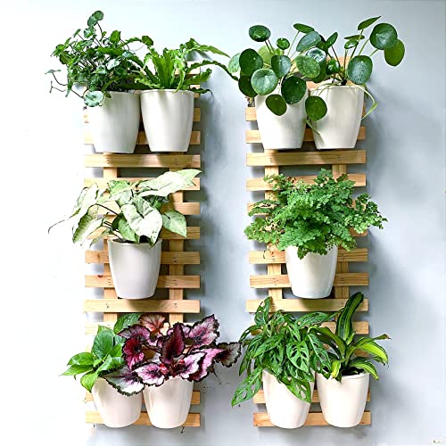 Maxona Wall Planters For Indoor Plants - 10 Pack, 5 Inch Self Watering Plastic Wall Pot, White Wall Mounted Eco Wall Planter System Living Hanging Wall Planter Trendy Live Wall Garden For Herb #TOP6