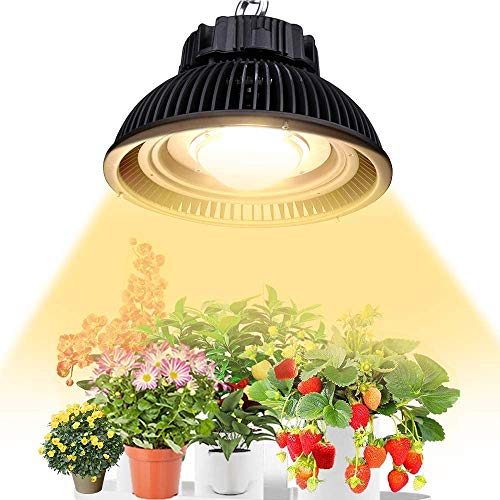 CF GROW COB LED ACgA3500k̑ẑ悤ȃtXyNgACgAkA̖؁AԁAʕ̐Ɏgp (CXM32-UFO300W)
