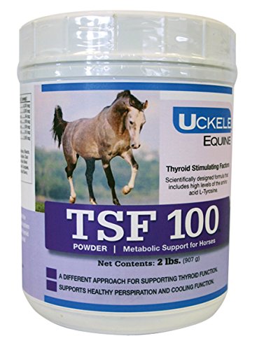 Uckele TSF 100 Horse Supplement, 2-Pound