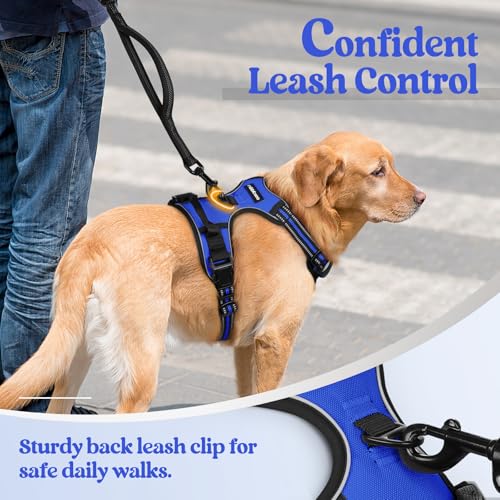 Image of rabbitgoo Dog Harness No Pull with 2 Leash Clips, Adjustable Soft Padded, Reflective Oxford No Choke Pet Vest with Easy Control Handle for Large Dogs, Dazzling Blue, XL