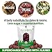 JUJUME | USDA Organic California Grown Jujubes Red Dates | Individually Sorted 3X for QA | High Grade Superfood | Healthy Dried Fruit | Certified All-Natural Non-GMO | 10-pack 6 oz. bags