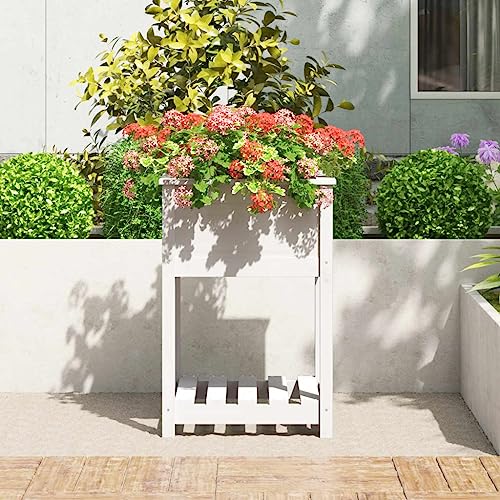 Jardinière surélevée pour éviter le mal de dos bac fleurs en bois