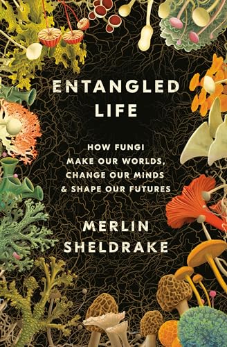 Entangled Life view 2