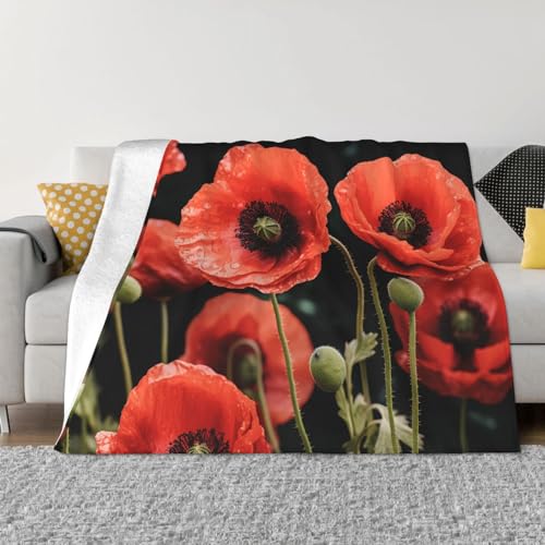 Couverture flanelle lit douce chaude et réversible jeté de canapé fleurs