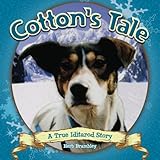 immagine banner Amazon