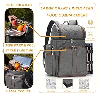 Picnic Backpack for 4, Picnic Basket Set, Leakproof Picnic Bag, Beach Cooler Backpack with Insulated Cooler Wine Pouch,Picnic Blanket, Double Deck Picnic Backpack for Beach,Camping,Park(Grey)