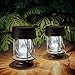 Obell Hanging Solar Lights 2 Pack Outdoor Garden Lights LED Retro Solar Hanging Lanterns with Handle for Pathway Yard Patio Decor Tree Beach Pavilion Lights (White Light)